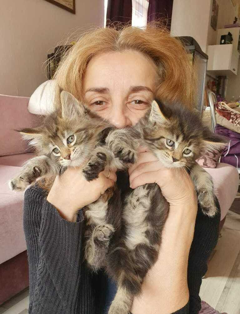 Поддержка и помощь