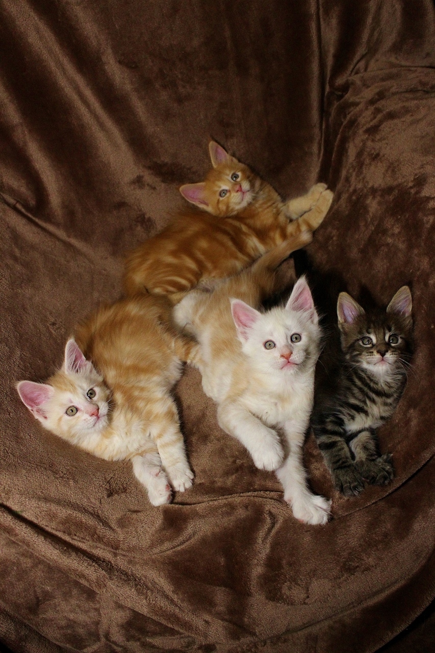 Более 120 выпускников