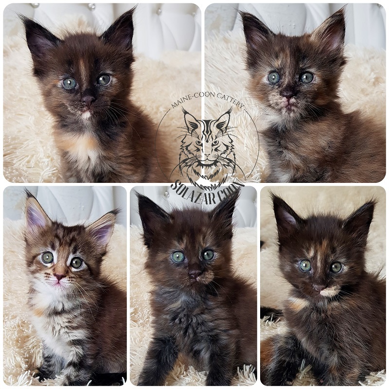 11 января 2022<br>