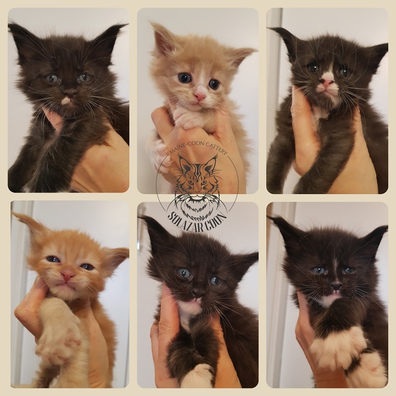 12 марта 2022<br>