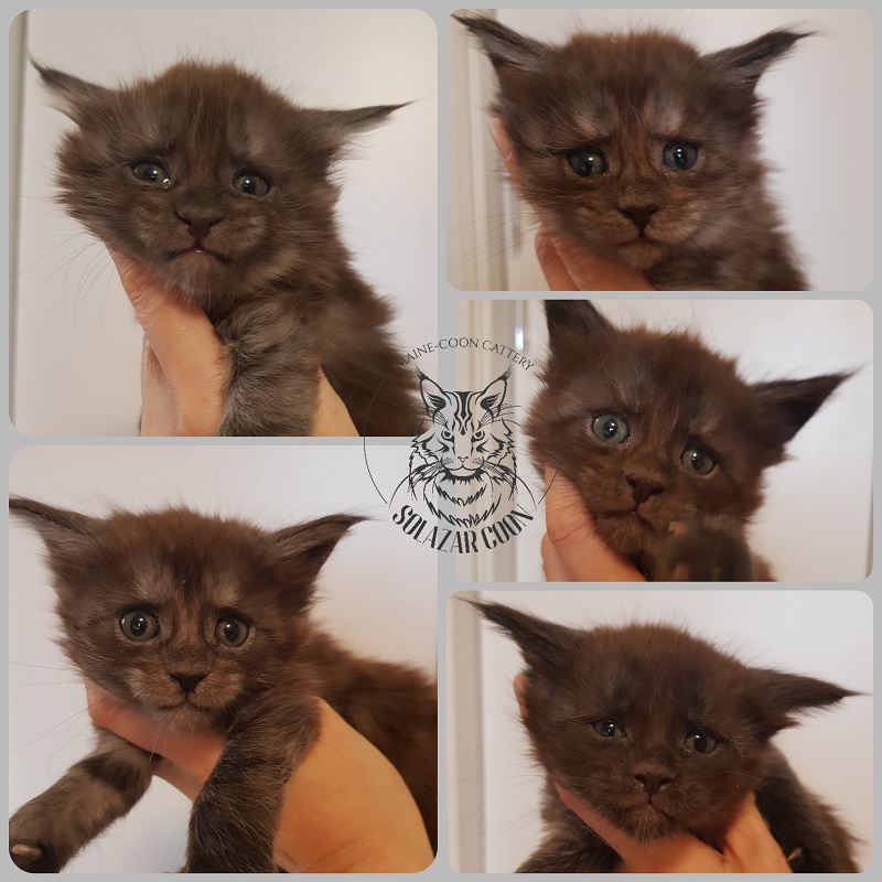 10 марта 2022<br>